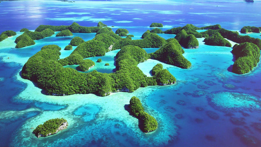 discoverimage